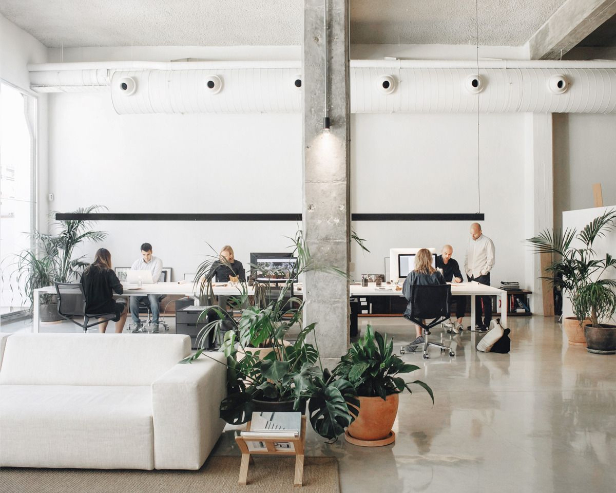MJ Decor Office in Port Melbourne. Depicting staff in a clean open, light filled office with a sofa and plants along the staff desks.